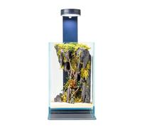 WabiFlur Terrario Stabilizzato Creus in Vetro Extrachiaro con luce led e supporto, completi di Fiori Stabilizzati Arredo Naturale Elegante Senza Manutenzione per Casa, Ufficio e Idee Regalo Green