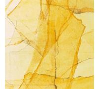 Wadada Leo Smith and Amin Central Park's Mosaic of Reservoir, Lake, P (Vinyl LP)