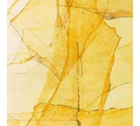 Wadada Smith Leo - Central Park's Mosaic Of Reservoir, Lake, Paths And Garden...