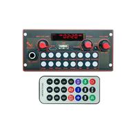 Wadakada Scheda Decodificatore MP3 2 * 10W 20W Amplificatore Lettore Audio 5V Fai da Te Lettore MP3 Modulo Radio FM per Auto TF USB Microfono Registrazione Bluetooth 5.3 B