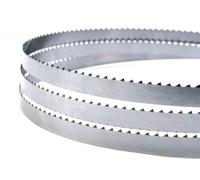 Wadkin Bursgreen WB600H Sega a Nastro Flexiback Lame 4590MM Lungo X 2.5cm Ampio