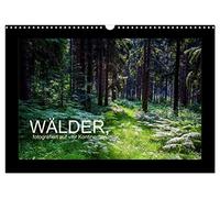 Wälder, fotografiert auf vier Kontinenten (Wandkalender 2026 DIN A3 quer), CALVENDO Monatskalender: Waldlandschaften, fotografiert in Deutschland, USA, Namibia, Südafrika, Tasmanien und Australien