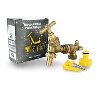 Wärmer System BSP BS1010-2 - Acqua Rubinetto da 1/2'' BSP con Piastra a Muro in Ottone
