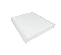 WAG Filtro Abitacolo AB391 E391 EC391 0001110V003 Carbone Attivo