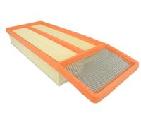 WAG Filtro Aria A2394 A3068 A3071 51873070