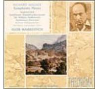 Wagner - Ride of the Walkuries