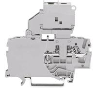 WAGO 2002-1611 Morsetto portafusibili 6.20 mm A molla Attribuzione: L Grigio 1