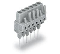 Wago 232 - 146/005 - 000 striscia Piuma (confezione da 25 pezzi)