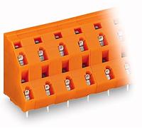 Wago 736 - 808 Circuiti morsetto (confezione da 21 pezzi)