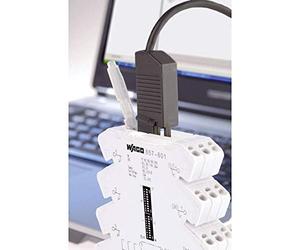 Wago 750-923 cavo USB 2,5 m USB A Nero