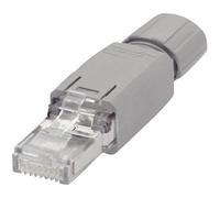 WAGO 750-975 Connettore RJ45 IP20 CAT5e Spina dritta Poli: 8P8C Grigio 1 pz.