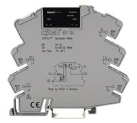 WAGO 857-704 Relè a semiconduttore 100 mA Tens.comm.max: 48 V/DC 1 pz.