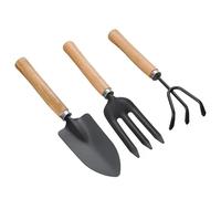 Wagoodter - Set di 3 mini attrezzi da giardinaggio per giardinaggio piccoli e leggeri rastrelli in ferro per interni ed esterni (B)