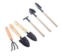 Wagoodter - Set di 6 mini attrezzi da giardinaggio per giardinaggio piccoli e leggeri rastrelli in ferro per interni ed esterni (A)