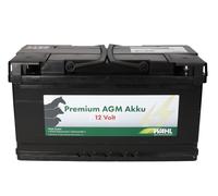 WAHL-Hausmarke Batteria AGM 12 V - Premium, 110 Ah Pronta all'uso
