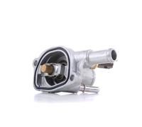 Termostato 410090.88D BorgWarner (Wahler) per LANCIA FIAT ALFA ROMEO ABARTH