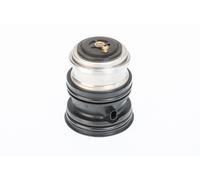 WAHLER 410448.107D Termostato motore