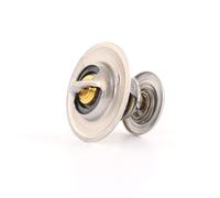 BorgWarner (Wahler) Termostato, Refrigerante compatibile con AUDI FORD MULTICAR