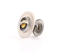 BorgWarner (Wahler) Termostato, Refrigerante compatibile con AUDI FORD MULTICAR