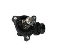 RIDEX 316T0140 Termostato motore per BMW 3 Limousine (E46) 3 Limousine (E90)