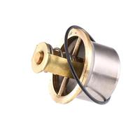 Wahler 4621.80D Termostato per il Refrigerante