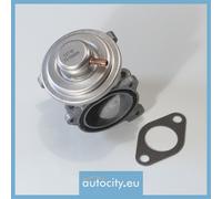 WAHLER 7271D Valvola ricircolo gas scarico-EGR