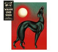 wahn und sinn