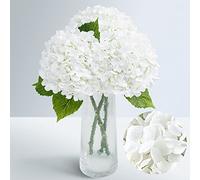 Waipfaru Fiori artificiali di ortensia bianca realistica al tatto, 53,3 cm, con stelo lungo e foglie, fiori di ortensia sintetica in lattice per decorazione domestica, feste, composizioni floreali,