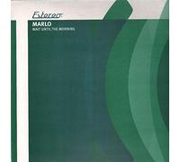 Wait Until the Morning