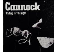 Waiting For The Night