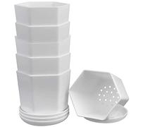 WAIZHIUA 6 vasi da fiori in plastica da 9 cm, piccoli vasi esagonali in resina, contenitori per piante da giardino, con vassoio, per piante grasse, cactus, erbe, casa, ufficio, balcone, decorazione