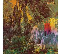 Wake - Thought From Descent