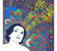 Last Days of 1984 – Wake Up to the Waves – CD