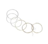 Wakects Set di Corde per Oud, Nylon Trasparente e Lega di Rame Placcato Argento, Suono Bilanciato e Tensione Moderata per Suonatori di Strumenti Oud (12 corde)