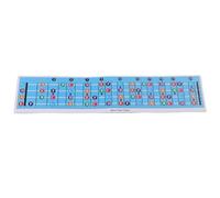Wakects Tabella delle Note Sulla Tastiera del Basso con Codice Colore, Facile Installazione E Ampia compatibilità, per Principianti Che Imparano Ogni Nota su Chitarre Standard E A D G