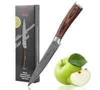 Wakoli EDIB Coltello damasco multiuso particolarmente affilato con una lama da 12,5cm e realizzato con 67 strati e nucleo in acciaio VG10 coltello chef in acciaio damasco con manico in legno di pakka