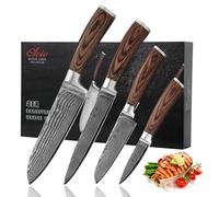 Wakoli EDIB Set coltelli da cucina professionali 4 pezzi, Damasco 67 strati | Lame: Santoku 17 cm, carne 18 cm, Santoku piccolo 12,5 cm, spelucchino 8,5 cm, VG10 60±2 HRC, Pakkawood, scatola regalo