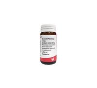 Bronchi Plantago Comp 20 G Globuli Wala