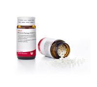 Bronchi Plantago Comp 20 G Globuli Wala