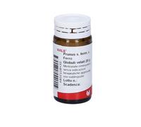 Prunus S Ferm C Ferro 20 G Globuli Wala