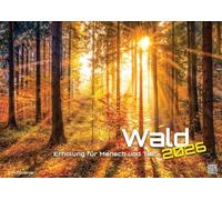 Wald - Erholung für Mensch und Tier - 2026 - Kalender DIN A2: Der Wandkalender mit den schönsten Motiven unserer Wälder für das Jahr 2026 im extragroßen Format DIN A2 (ca. 60 x 42 cm)!