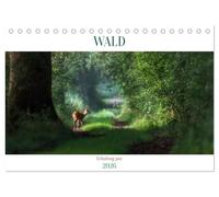 WALD Erholung pur (Tischkalender 2026 DIN A5 quer), CALVENDO Monatskalender: Der Atem der Bäume schenkt uns das Leben!