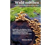 Wald erleben Das wunderbare Netzwerk des Lebens: Entdecke, wie Bäume, Tiere, Pilze und Menschen in einem unsichtbaren Kreislauf miteinander verbunden sind.
