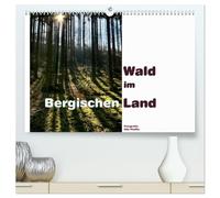 Wald im Bergischen Land 2026 (hochwertiger Premium Wandkalender 2026 DIN A2 quer), Kunstdruck in Hochglanz: Die Wälder des Bergischen Landes bieten Erholung für Auge und Gemüt