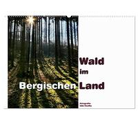 Wald im Bergischen Land 2026 (Wandkalender 2026 DIN A2 quer), CALVENDO Monatskalender: Die Wälder des Bergischen Landes bieten Erholung für Auge und Gemüt