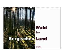 Wald im Bergischen Land 2026 (Wandkalender 2026 DIN A3 quer), CALVENDO Monatskalender: Die Wälder des Bergischen Landes bieten Erholung für Auge und Gemüt