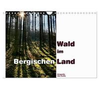 Wald im Bergischen Land 2026 (Wandkalender 2026 DIN A4 quer), CALVENDO Monatskalender: Die Wälder des Bergischen Landes bieten Erholung für Auge und Gemüt