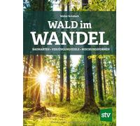 Wald im Wandel: Baumarten, Verjüngungsziele, Mischungsformen