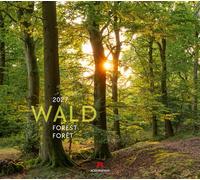 Wald Kalender 2027: Hochwertiger Natur-Kalender im großen Querformat (54x48 cm) | Bäume und Pflanzenwelt im Wandel der Jahreszeiten