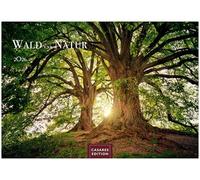 Wald & Natur Kalender 2026 - Wandkalender | Fotokalender Landschaft Großformat 35x50cm - Natürliche Schönheit & Ruhe für jeden Monat .